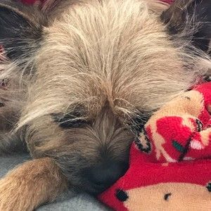 Meet your Posher, Brinnon